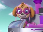 Replay Paw Patrol, la Pat'Patrouille - Skier comme un pro