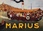 Replay Marius