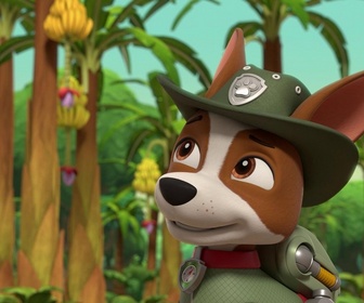 Replay Paw Patrol, la Pat'Patrouille - Travis dans la jungle