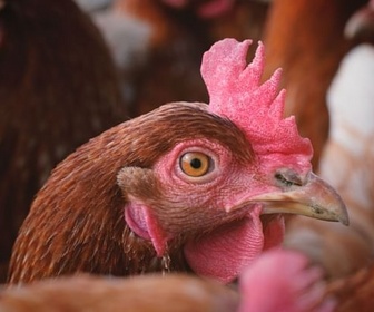 Replay La colère - Ma guerre des mondes (5/5)