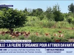 Replay Good Morning Business - Volaille : la filière s'organise pour attirer davantage