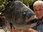 Replay River monsters