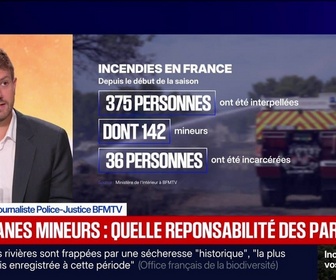 Replay BFM Grand Soir - Incendies : 375 interpellations, dont 142 mineurs - 03/08