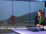 Replay Élément Terre, la quotidienne - Lula réélu au Brésil : une bonne nouvelle pour l'environnement ?