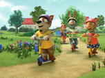 Replay Pip et Posy - La course d'insectes