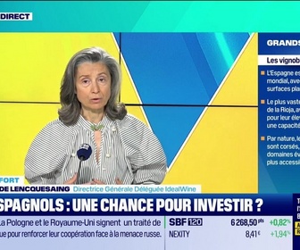 Replay Tout pour investir - Le coffre-fort : Vins espagnols, une chance pour investir ? - 27/05