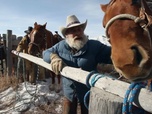 Replay Seuls face à l'Alaska - S1E21 - Règlement de comptes