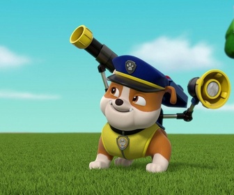 Replay Paw Patrol, la Pat'Patrouille - Une folle journée