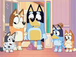 Replay Bluey - 30/11/2025