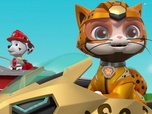 Replay Paw Patrol, la Pat'Patrouille - La Pat' Patrouille rencontre les Super Chats