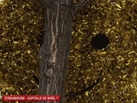 Replay Un jour, un doc - Strasbourg : capitale de Noël ? (1/2)