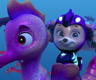 Replay Paw Patrol, la Pat'Patrouille - L'Aqua Patrouille : Le vol de la Baleine Patrouilleuse
