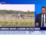 Replay Good Morning Business - La loi agricole ravive la guerre des pesticides