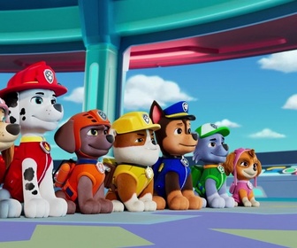 Replay Paw Patrol, la Pat'Patrouille - Des animaux très chics