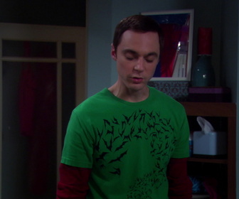 Replay The Big Bang Theory - S3E8 - Bras cassé et voie lactée