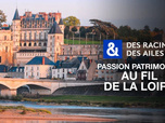 Replay Des Racines et Des Ailes