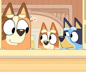 Replay Bluey - 20/01/2026