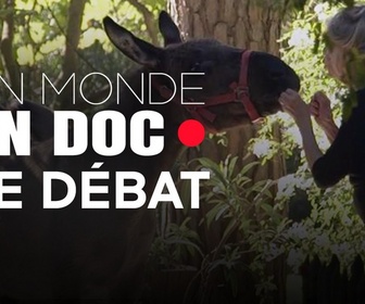 Replay Un monde en doc - Brigitte Bardot et la cause animale : quel bilan ? Quel avenir ?