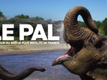 Replay Le Pal : au coeur du zoo le plus insolite de France