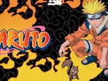 Replay Naruto - S1 E15 - Bataille dans la brume