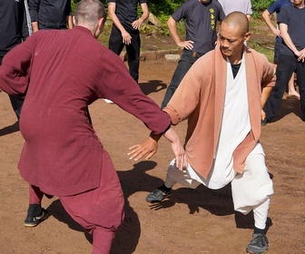 Replay ARTE Regards - Des moines Shaolin en Allemagne
