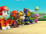 Replay Paw Patrol, la Pat'Patrouille - L'Air Patrouilleur - 26'