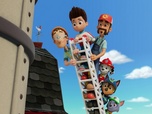 Replay Paw Patrol, la Pat'Patrouille - Mystère dans le champ de maïs