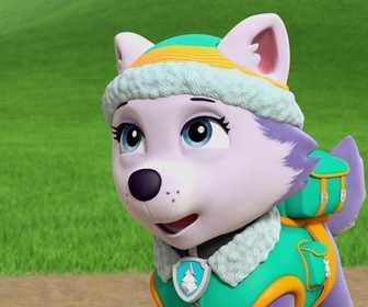 Replay S00 E01 - Compilation Paw Patrol, la Pat'Patrouille 1