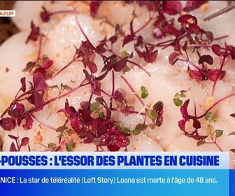 Replay Les longs formats des Locales - Micro-pousses : l'essor des plantes en cuisine