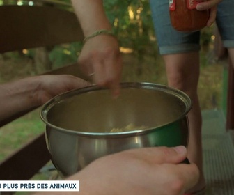 Replay Un jour, un doc - Au plus près des animaux (1/2)