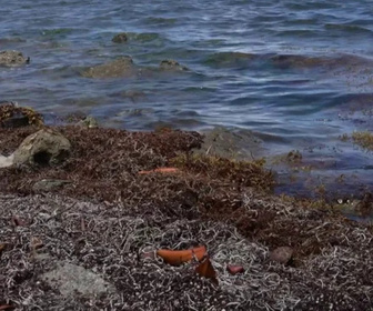 Replay C pas si loin - 21/04/2026