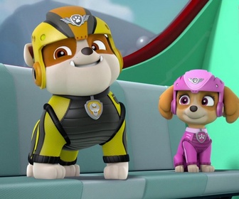 Replay Paw Patrol, la Pat'Patrouille - Le baleineau
