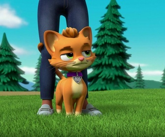 Replay Paw Patrol, la Pat'Patrouille - Super Patrouille : Puissance maximale