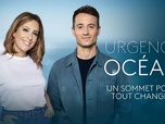 Replay Urgence océan : un sommet pour tout changer - Émission du mardi 10 juin 2025
