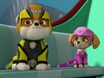 Replay Paw Patrol, la Pat'Patrouille - La tarentule des cavernes