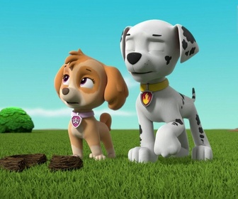 Replay Paw Patrol, la Pat'Patrouille - Le cygne gonflable