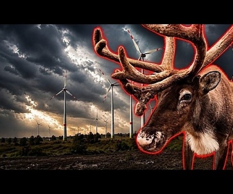 Replay Les éoliennes provoquent des malformations animales: vrai ou faux ?