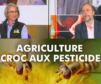 Replay DébatDoc - Agriculture : accroc aux pesticides ?