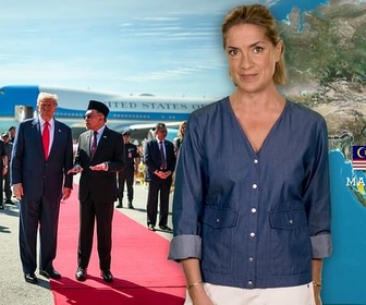 Replay Trump en Malaisie : la loi du plus fort ? - Le dessous des cartes - L'essentiel