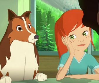 Replay Lassie - Des amis pour la vie - Première partie