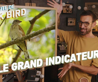 Replay La minute de Max Bird - Le Grand indicateur