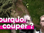 Replay Top Info - 4 ans de prison pour les 2 hommes qui ont coupé l'arbre le plus célèbre d'Angleterre