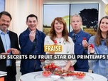 Replay VIP Very Important Paysans - Fraise : les secrets du fruit star du printemps !