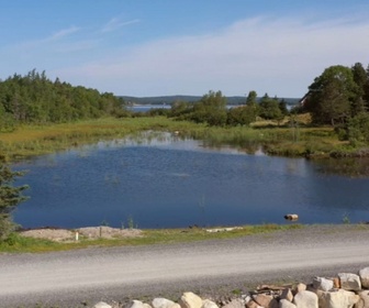 Replay Le mystère d'Oak Island : la course au trésor - S10E8 - Mystère nordique