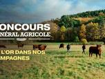 Replay Concours général agricole, de l'or dans nos campagnes