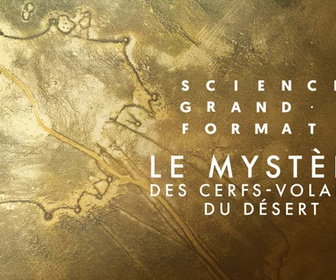 Replay Science grand format - 04/12/2025