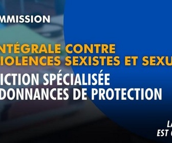 Replay La séance est ouverte ! - Loi intégrale : juridiction spécialisée et ordonnances de protection - 21/09/2026