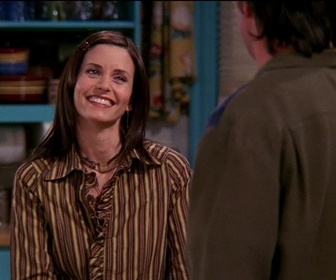 Replay Friends - S08 E16 - Celui qui avouait tout à Rachel