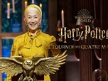 Replay Harry Potter : Le Tournoi des quatre maisons - La Grande finale