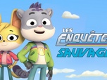 Replay Les enquêtes sauvages - À la recherche de la grenouille à pois !